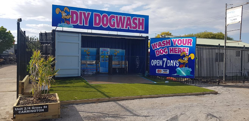 Diy Dog Wash 