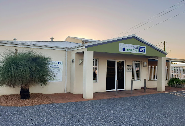 Forrestfield Veterinary Hospital The Pet Community