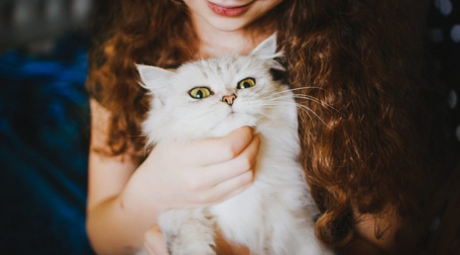 The best (and worst) things about owning a pet