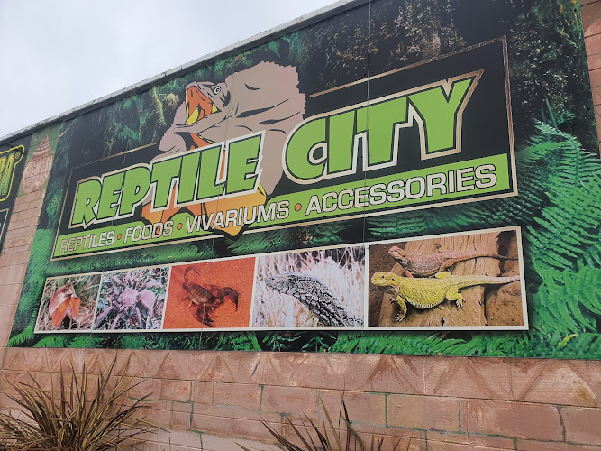 Reptile City The Pet Community